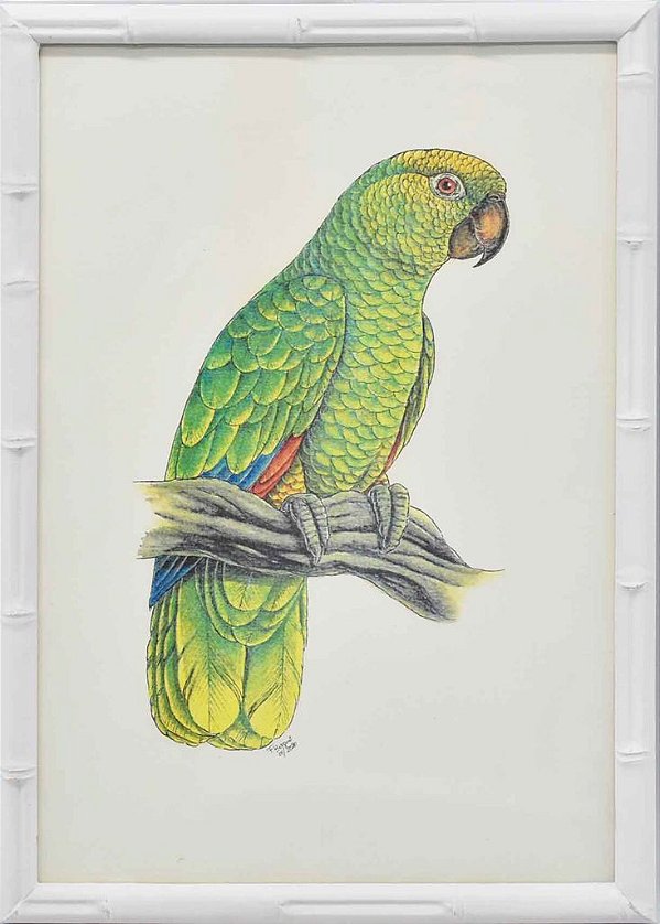 Quadro de pássaro 10 moldura faux bamboo branca