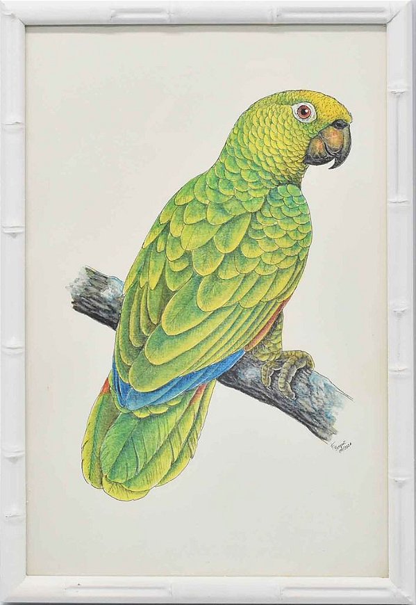 Quadro de pássaro 12 moldura faux bamboo branca