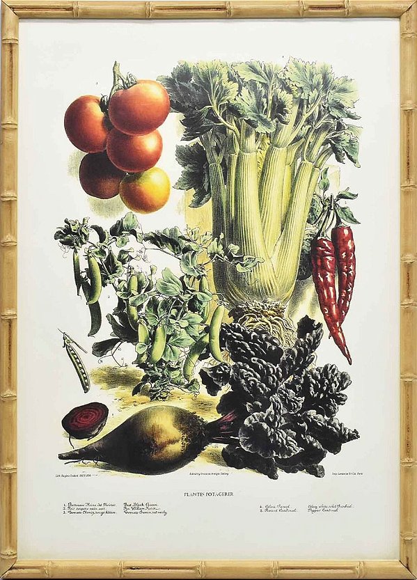 Quadro veggies 3