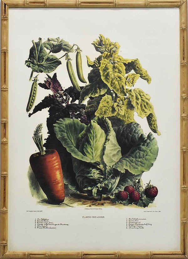 Quadro de veggies 4