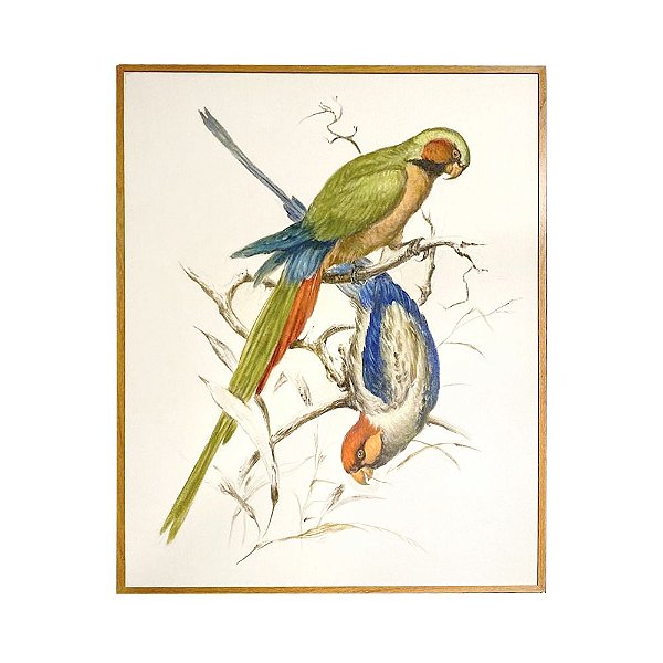 Quadro a óleo pássaros coloridos 1