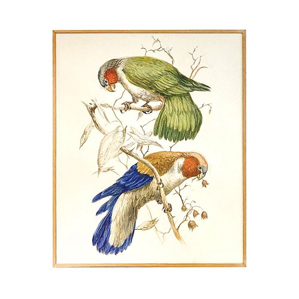 Quadro a óleo pássaros coloridos 2