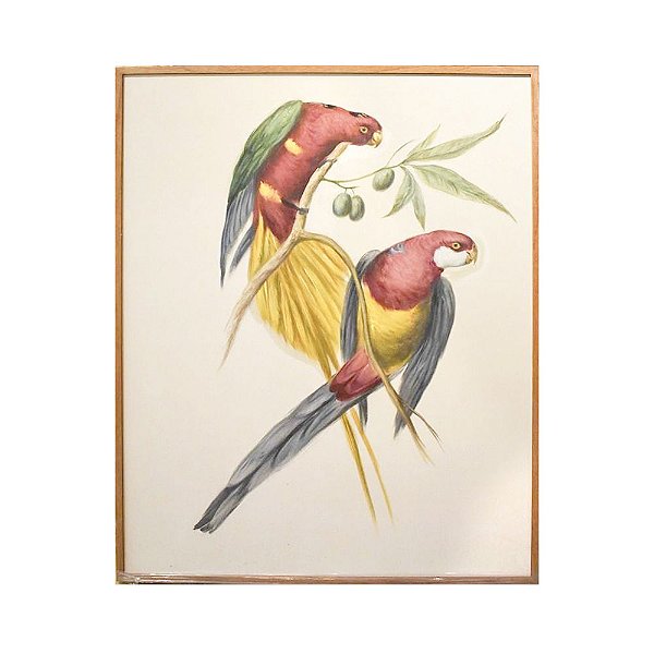 Quadro a óleo pássaros coloridos 3