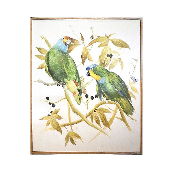 Quadro a óleo pássaros coloridos 7