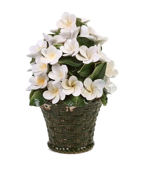 Vasinho Flores brancas zanatta casa