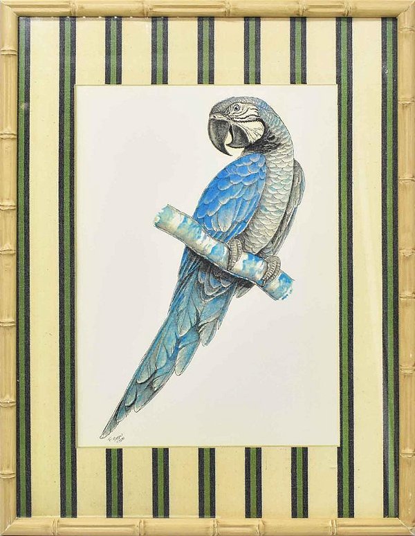 Quadro moldura bambu arara azul 2 (41 cm)
