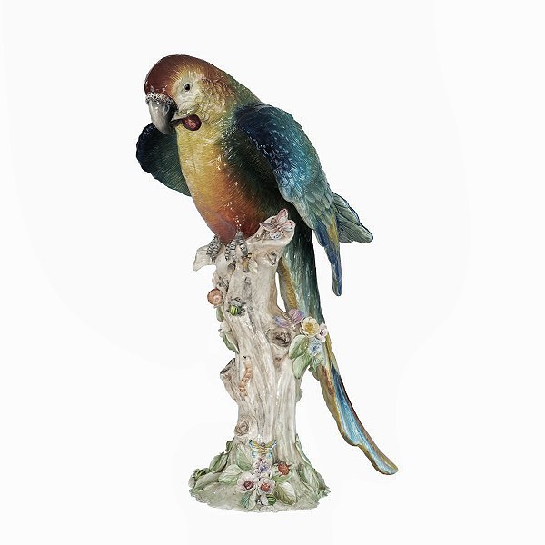 Arara multicolorida no tronco com flores e insetos