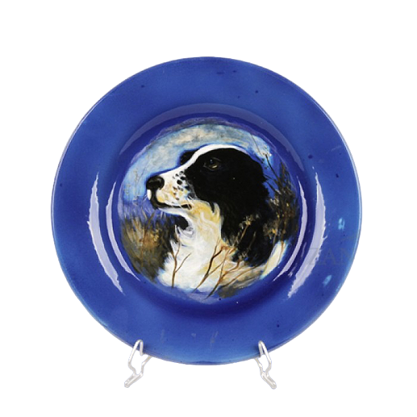 Prato raso cachorro com borda azul