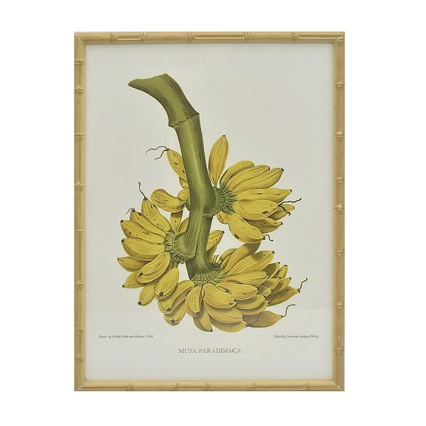 Quadro gravura penca de banana
