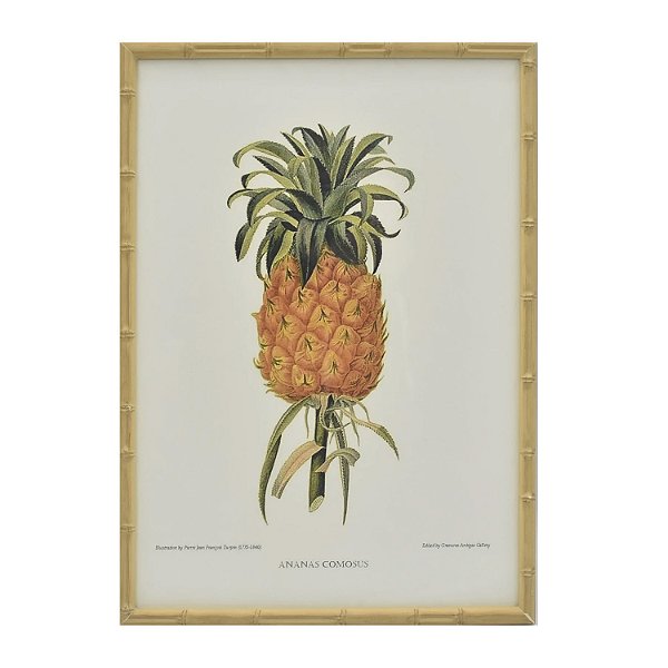 Quadro gravura abacaxi