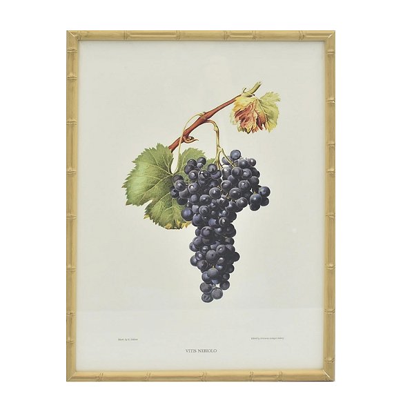 Quadro gravura cacho de uva