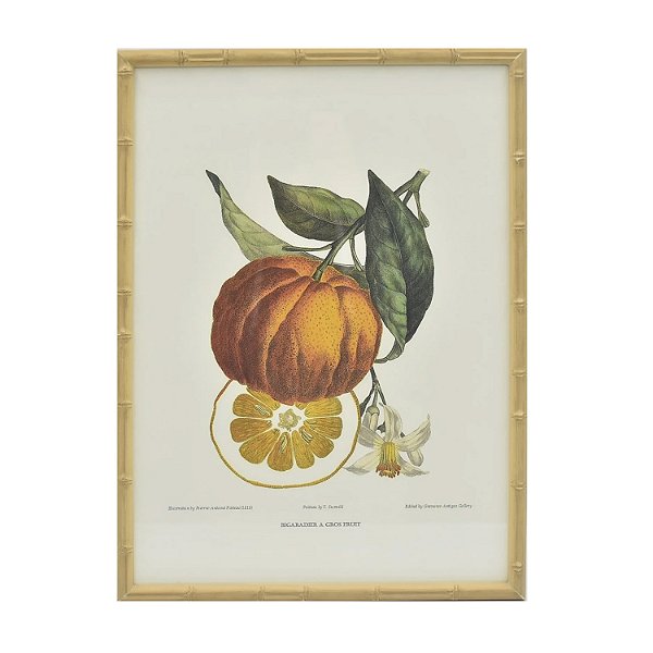 Quadro gravura de cidra