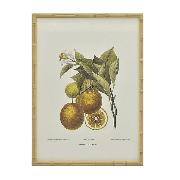 Quadro gravura de laranjas