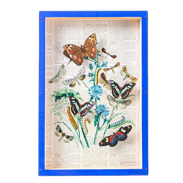 Quadro box colagem botânica e moldura azul