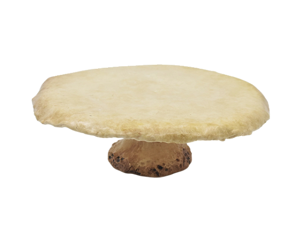 Prato de bolo cogumelo branco com pé G Zanatta Casa