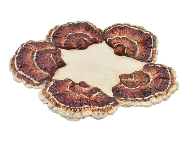 Prato slim M com borda de cogumelos vermelhos Zanatta Casa