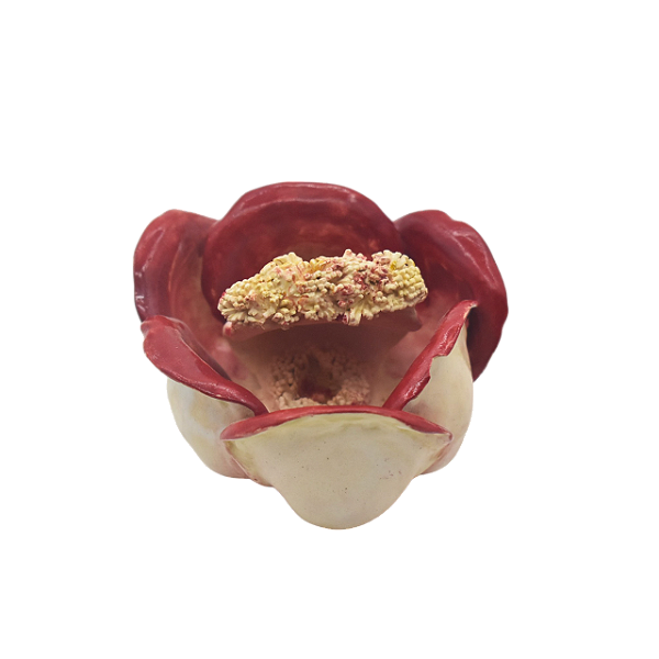 Enfeite de mesa flor de macaco