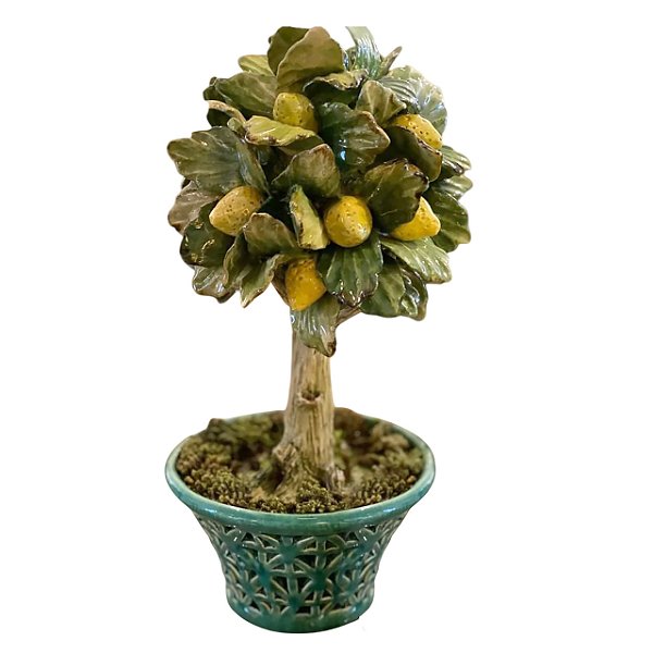 Topiaria limão siciliano com vaso verde vazado