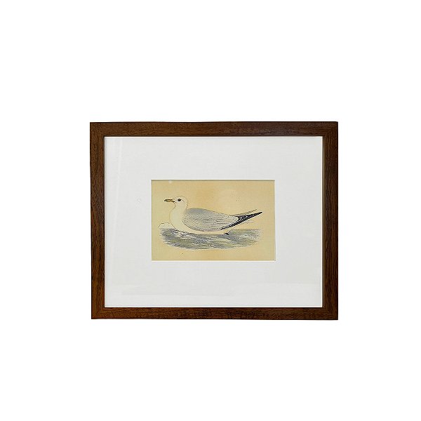 Quadro desenho de pato