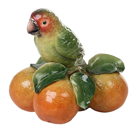 Ararinha verde com laranjas