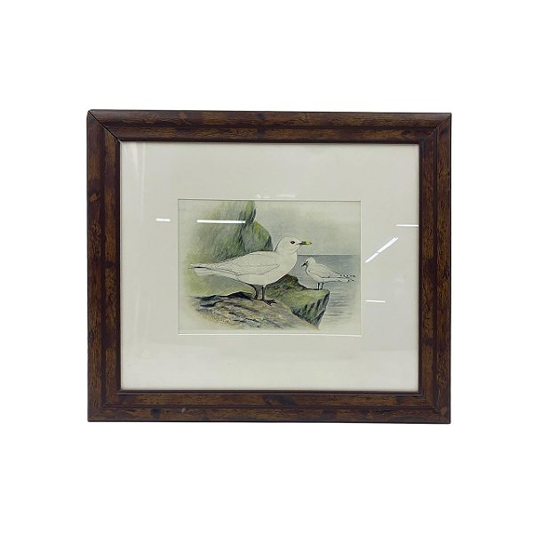 Quadro desenho de aves brancas