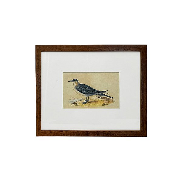 Quadro desenho de ave preta com pescoço amarelo