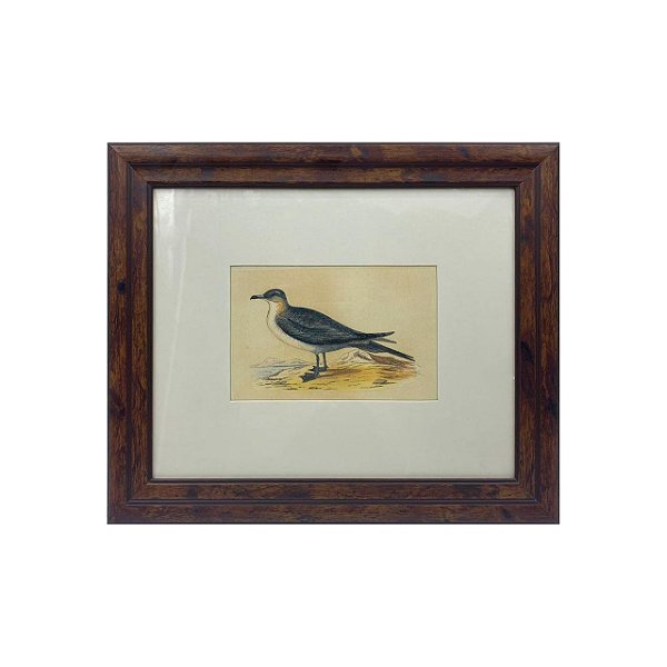 Quadro desenho de ave preta com pescoço amarelo