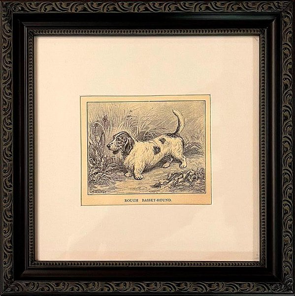 Quadro gravura antiga com moldura preta cachorro basset-hound