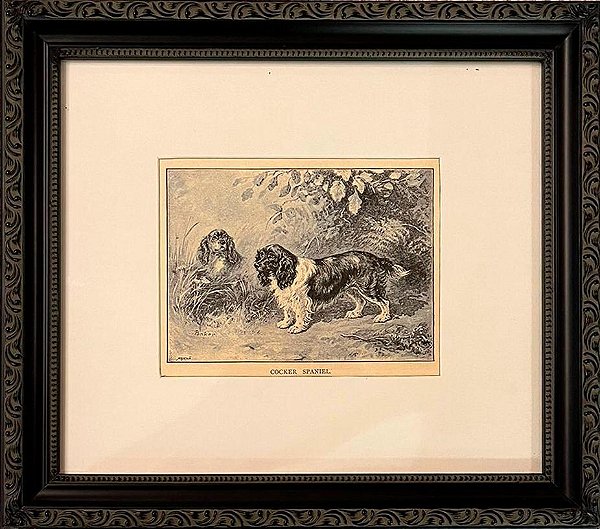 Quadro gravura antiga com moldura preta cachorro cocker spaniel
