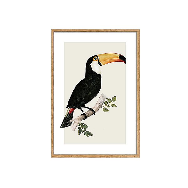 Quadro Tucano moldura em madeira