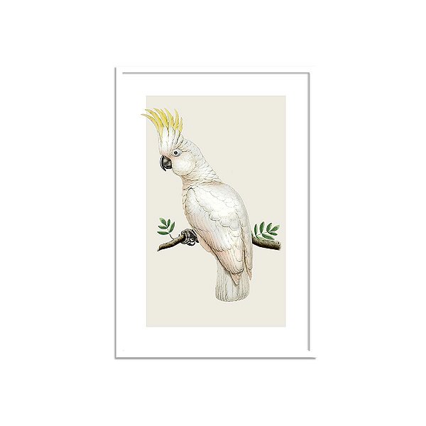 Quadro Cacatua 2