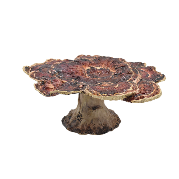 Petisqueira cogumelos vermelhos com pé