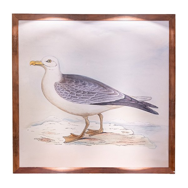 Quadro gaivota 1,5m x 1,5m