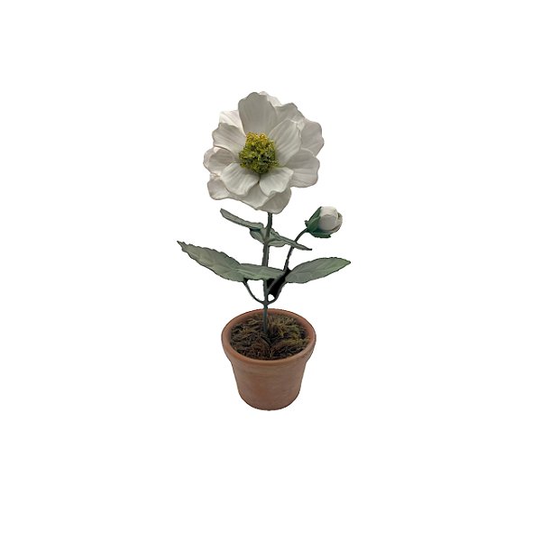 Bonsai de gardênia com botão e vaso