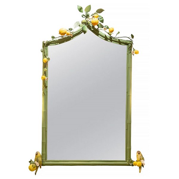 Espelho moldura trepadeira limão siciliano