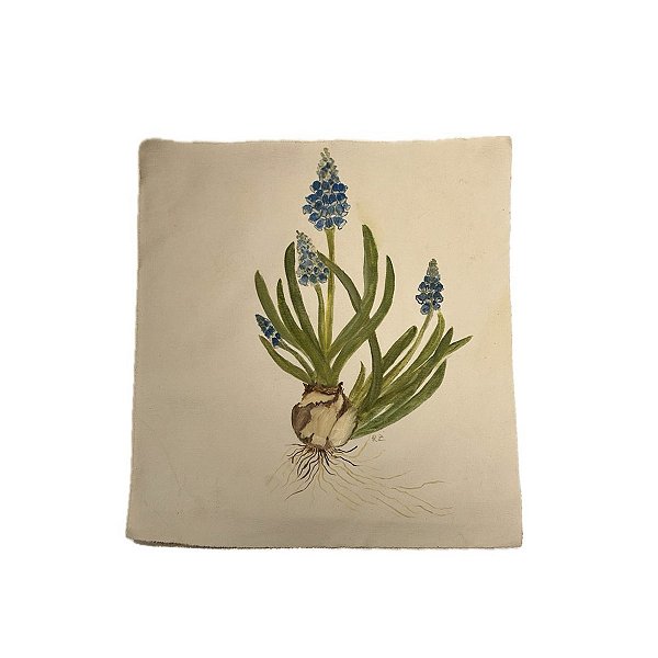 Tela pintada à mão flores de lavanda com raízes