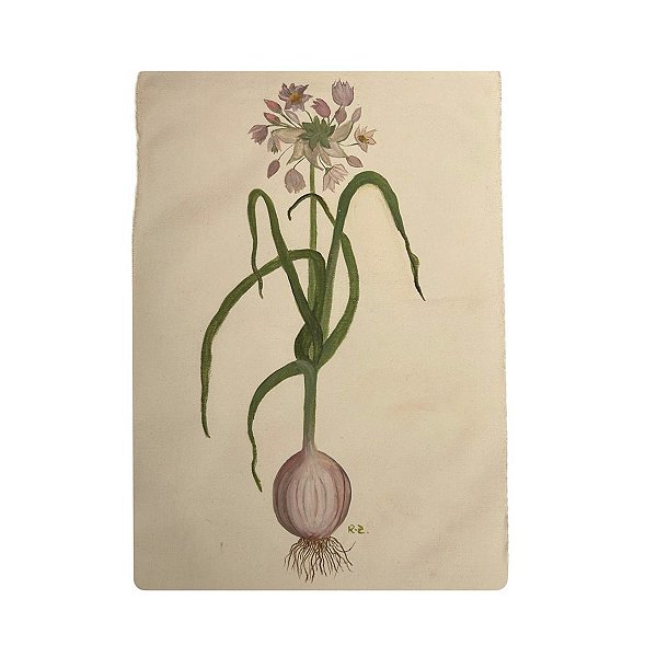 Tela pintada à mão flor de alho