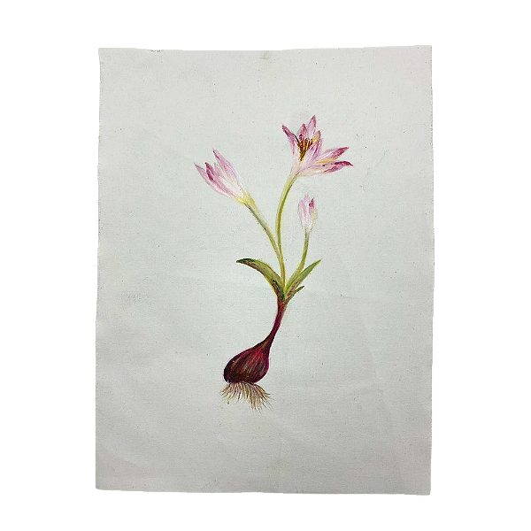 Tela pintada à mão flores rosas com raízes