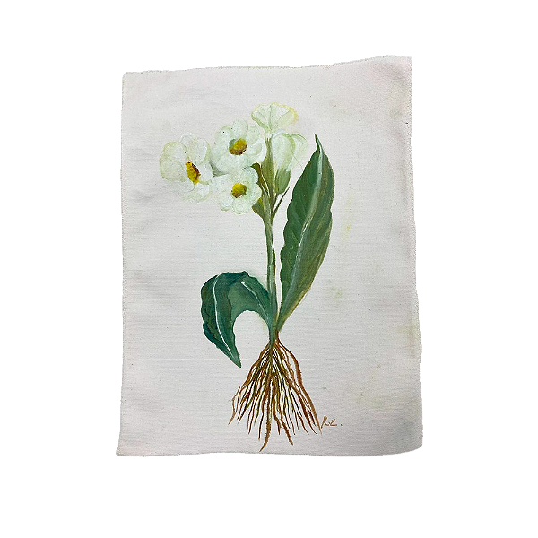 Tela pintada à mão flores brancas com raízes