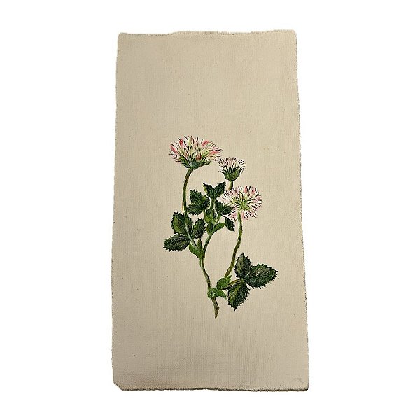 Tela pintada à mão flores rosas e brancas N7