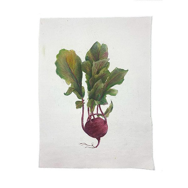 Tela pintada à mão flores rabanete