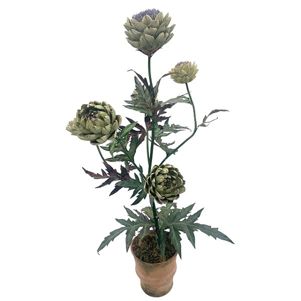 Bonsai alcachofra
