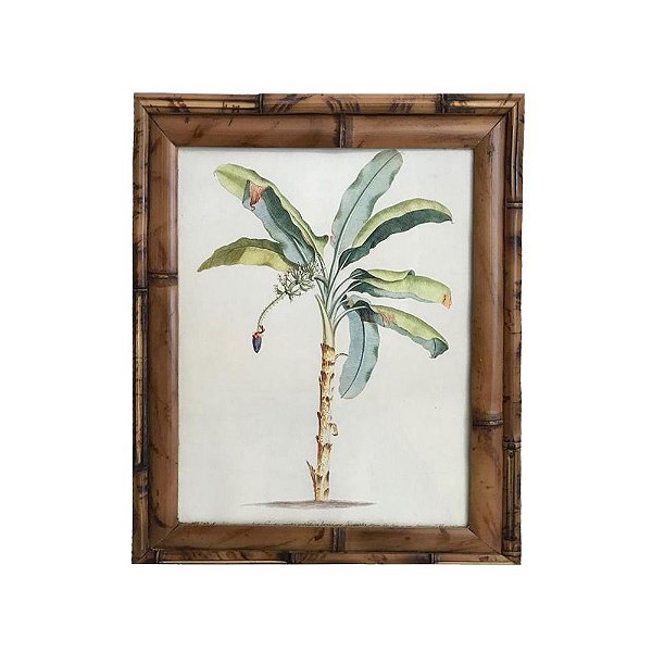 Quadro Bananeira