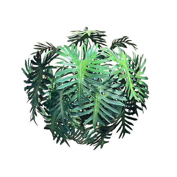 Lustre folhagens Guaimbê