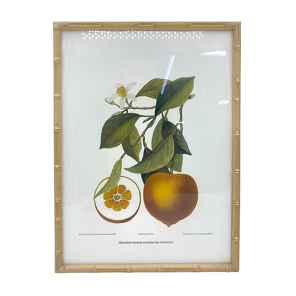 Quadro gravura oranger pomme