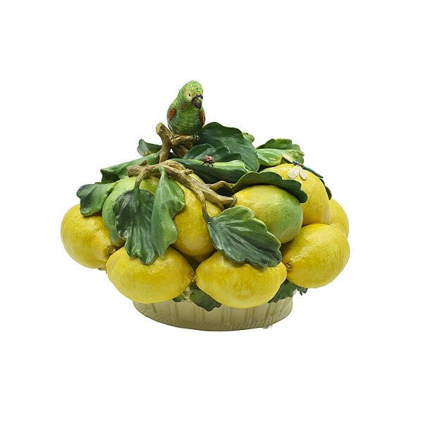 Fruteira com limões sicilianos e pássaro Inês