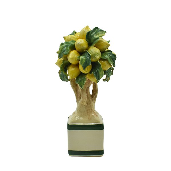 Mini bonsai de limões sicilianos