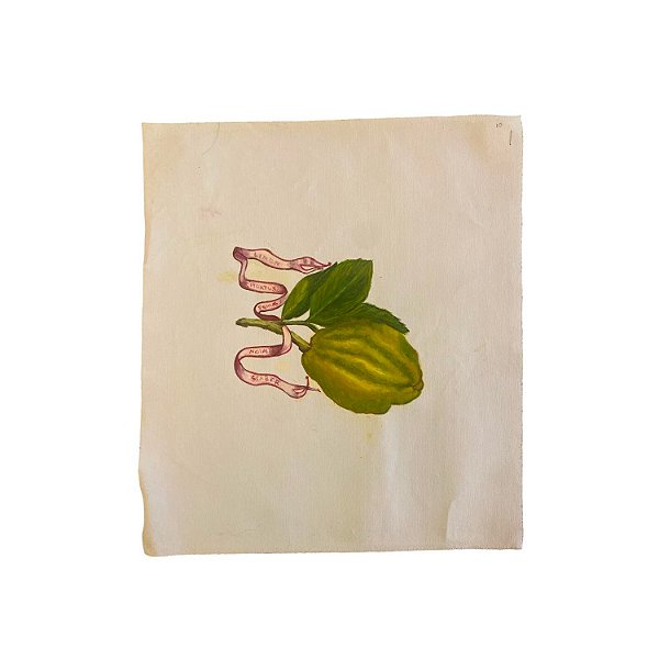 Mini lona com pintura de limão grande esverdeado e fita vermelha