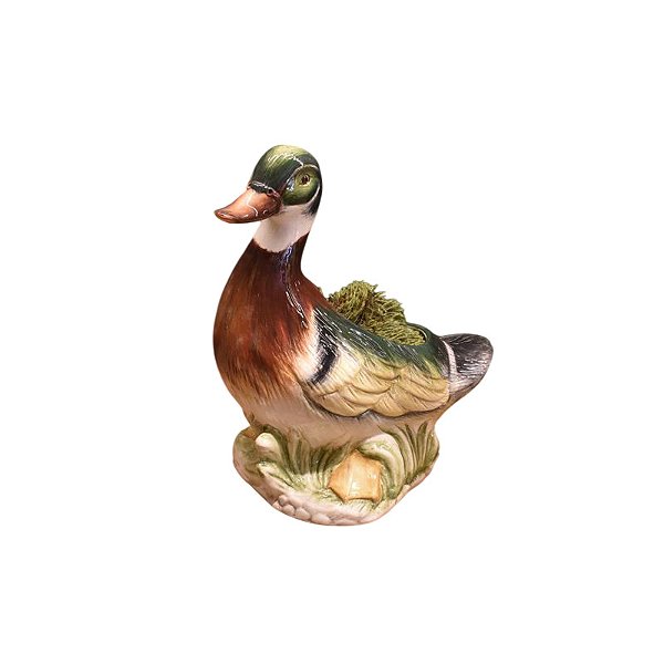 Vaso de pato selvagem