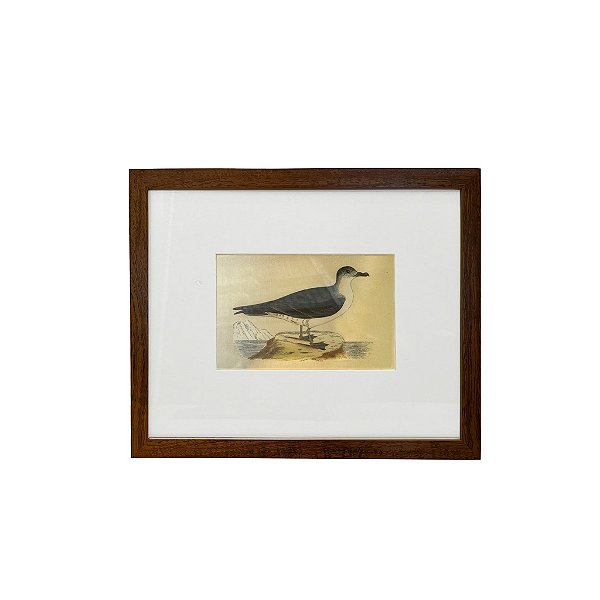 Quadro desenho de ave azul marinho e branca